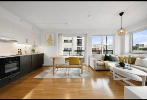 Nice apartment close to city-centre